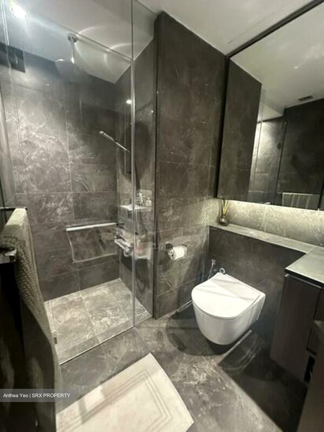 Kopar At Newton (D9), Apartment #501380451